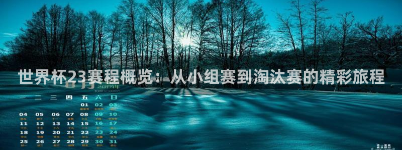世界杯足球赛2026赛程时间：世界杯23赛程概览：从小组赛到淘汰赛的精彩旅程