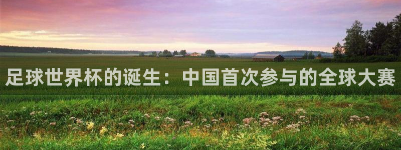 2026世界杯买球：足球世界杯的诞生：中国首次参与的全球大赛