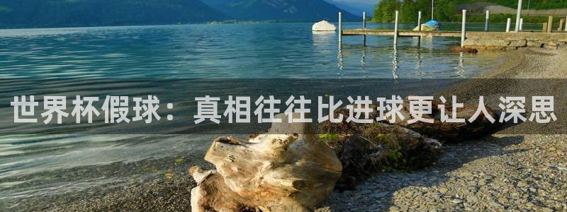 世界杯赛程时间表：世界杯假球：真相往往比进球更让人深思