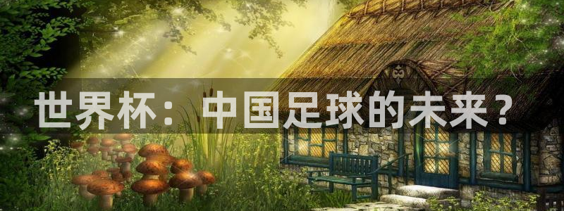 2026年世界杯：世界杯：中国足球的未来？