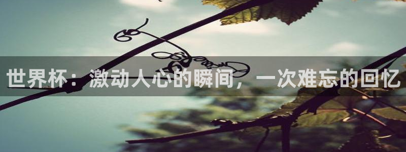 世界直播：世界杯：激动人心的瞬间，一次难忘的回忆