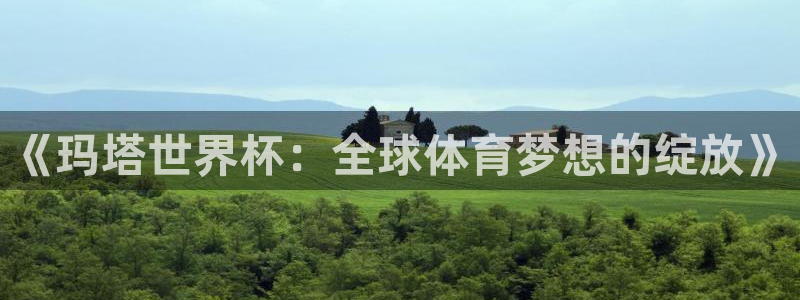 世界杯直播平台：《玛塔世界杯：全球体育梦想的绽放》