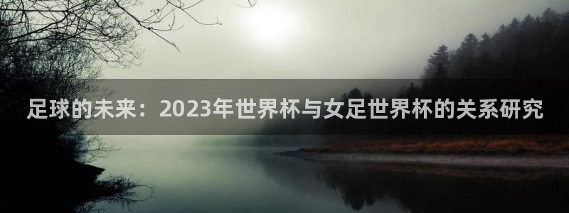 2026足球世界杯：足球的未来：2023年世界杯与女足世界杯的关系研究