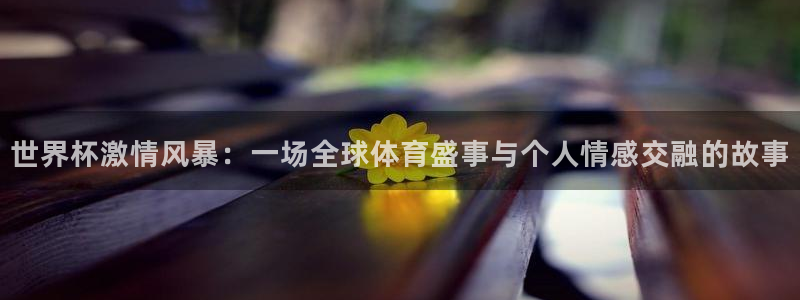 2026世预赛赛程表：世界杯激情风暴：一场全球体育盛事与个人情感交融的故事