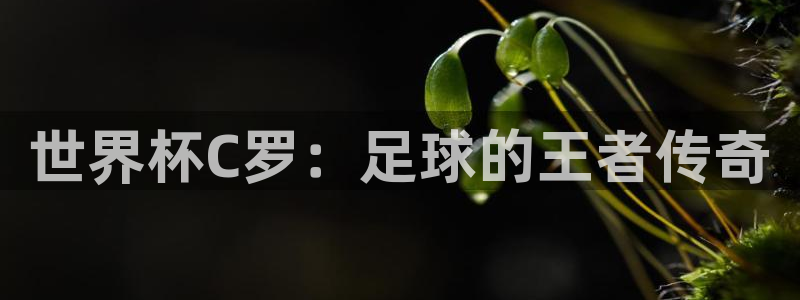 世界杯转播表：世界杯C罗：足球的王者传奇
