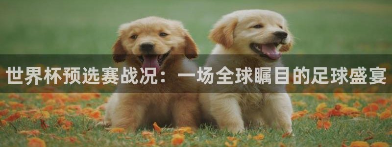 2026世界杯赛：世界杯预选赛战况：一场全球瞩目的足球盛宴