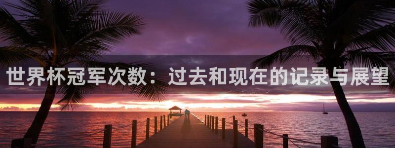 今年的世界杯：世界杯冠军次数：过去和现在的记录与展望