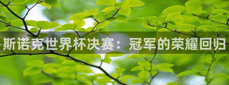 2026世界杯亚洲区预选赛赛程：斯诺克世界杯决赛：冠军的荣耀回归