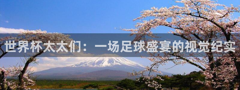 世界杯官网入口：世界杯太太们：一场足球盛宴的视觉纪实