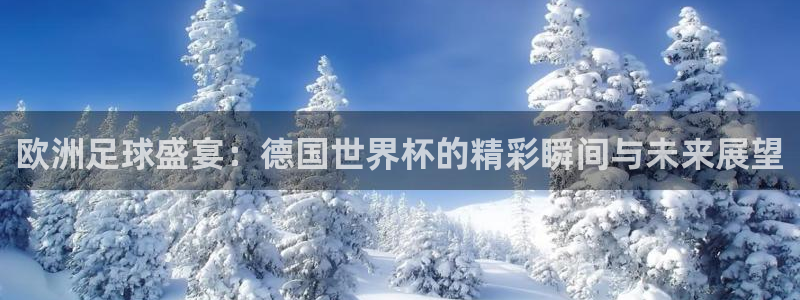 世预赛欧洲赛程表：欧洲足球盛宴：德国世界杯的精彩瞬间与未来展望