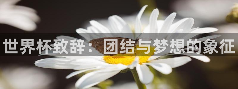世界杯球队排名：世界杯致辞：团结与梦想的象征