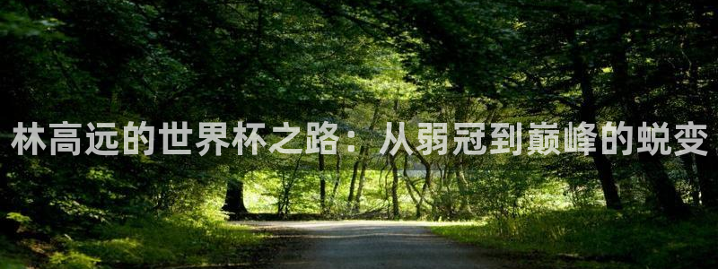 英足总杯直播：林高远的世界杯之路：从弱冠到巅峰的蜕变